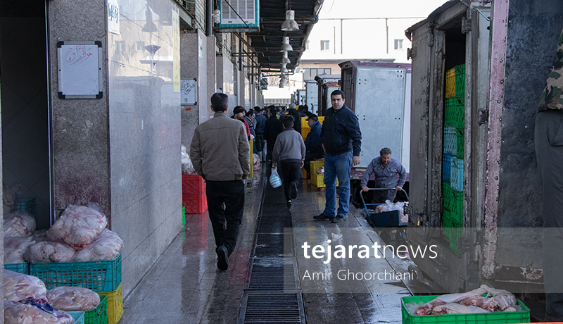 بازار مرغ تهران